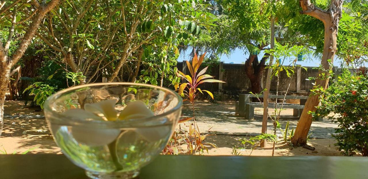ארוגם The Danish Villa Resort מראה חיצוני תמונה