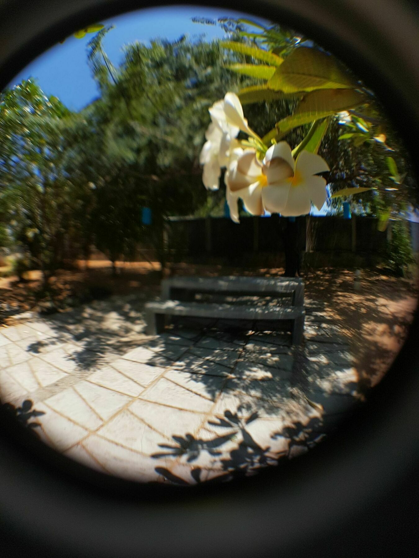 ארוגם The Danish Villa Resort מראה חיצוני תמונה