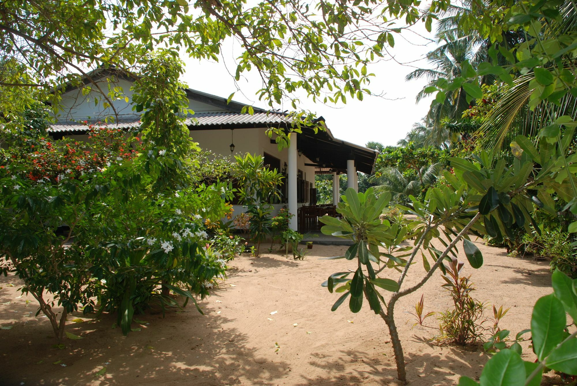 ארוגם The Danish Villa Resort מראה חיצוני תמונה