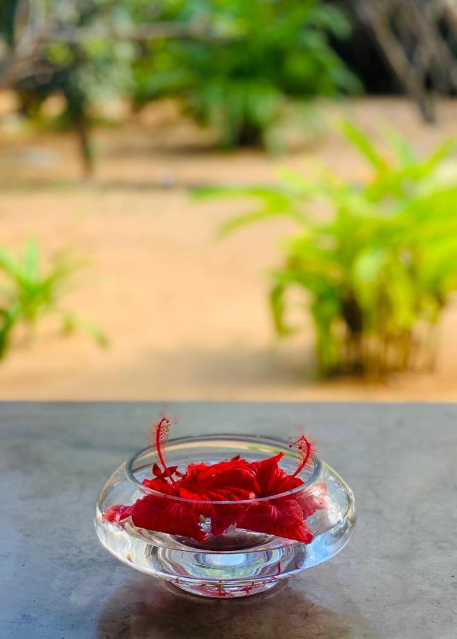 ארוגם The Danish Villa Resort מראה חיצוני תמונה
